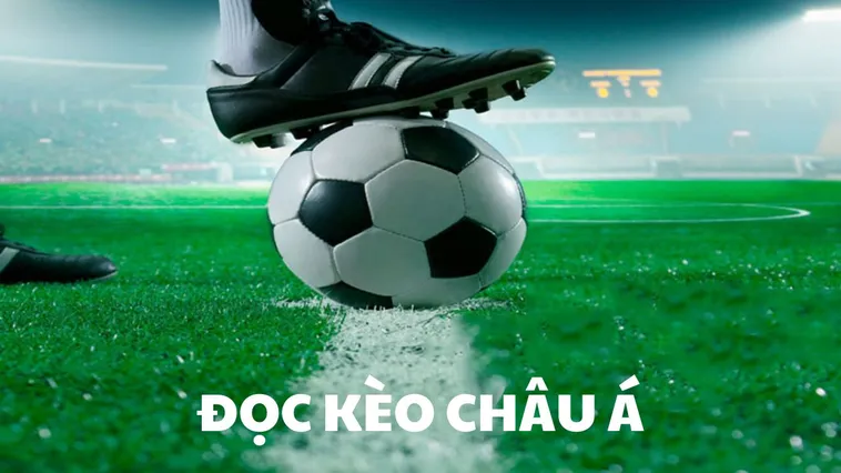 Hướng Dẫn Kèo Châu Á Tại 7M Cho Người Mới