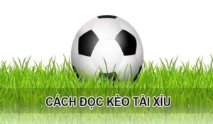 Bí Quyết Chinh Phục Kèo Tài Xỉu Hiệp 1 Tại 7M Cực Chuẩn
