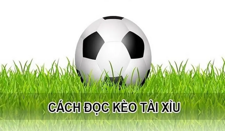 Bí Quyết Chinh Phục Kèo Tài Xỉu Hiệp 1 Tại 7M Cực Chuẩn