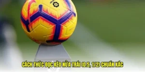 Chiến Thuật Và Cách Chơi Kèo Chấp 0.5 Tại 7M Hiệu Quả