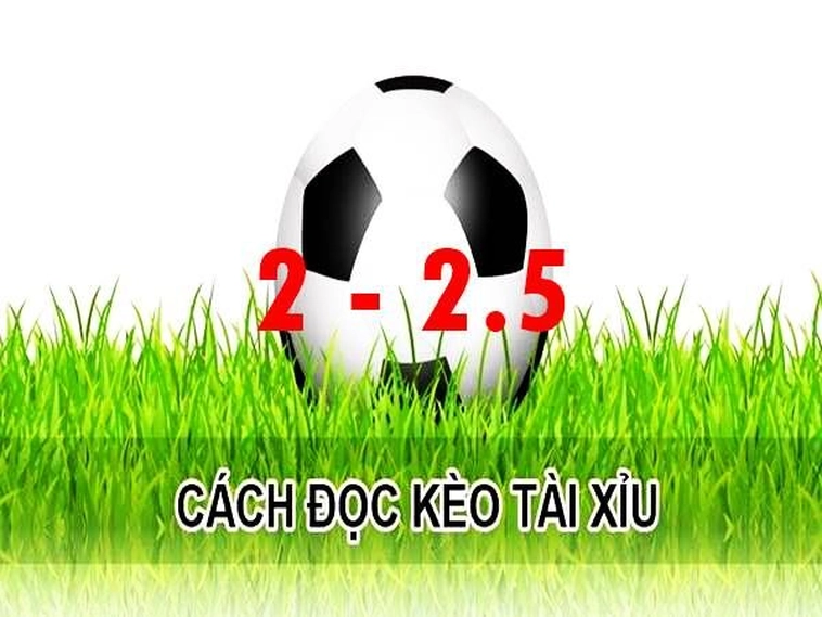Bí Quyết Chinh Phục Cách Chơi Kèo 2.25 Tại 7M Hiệu Quả