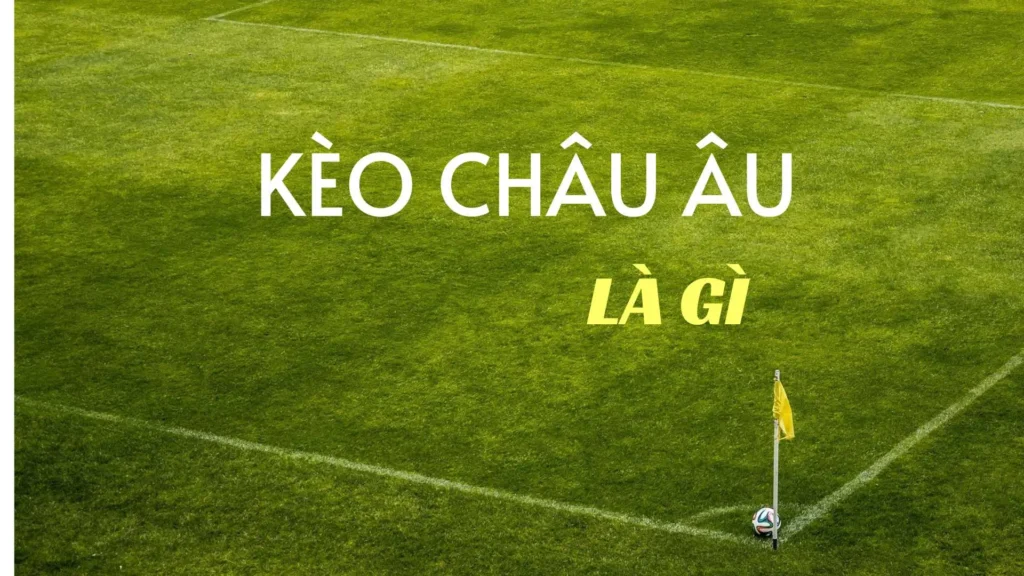 Bí Kíp Chơi Kèo Châu Âu Tại 7M Hiệu Quả Nhất