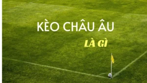 Bí Kíp Chơi Kèo Châu Âu Tại 7M Hiệu Quả Nhất