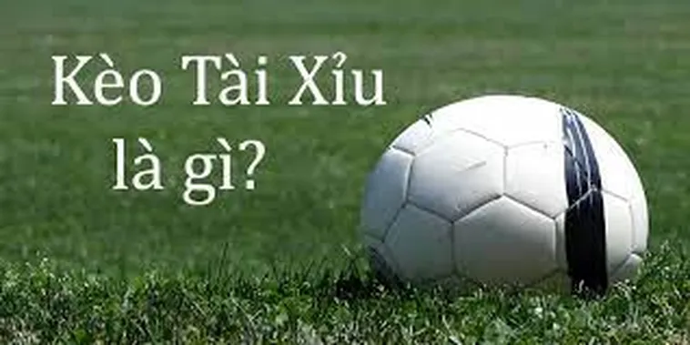 Bí Quyết Thắng Lớn Với Cách Chơi Kèo Tài Xỉu Tại 7M
