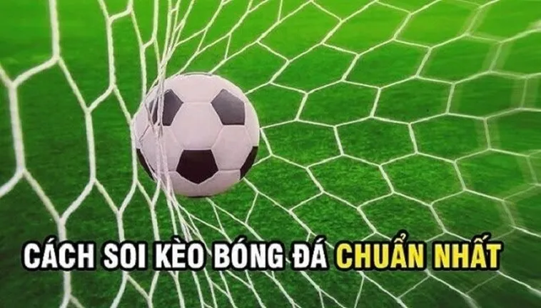 Bí Quyết Chinh Phục Cách Chơi Kèo Rung Trong Bóng Đá Tại 7M